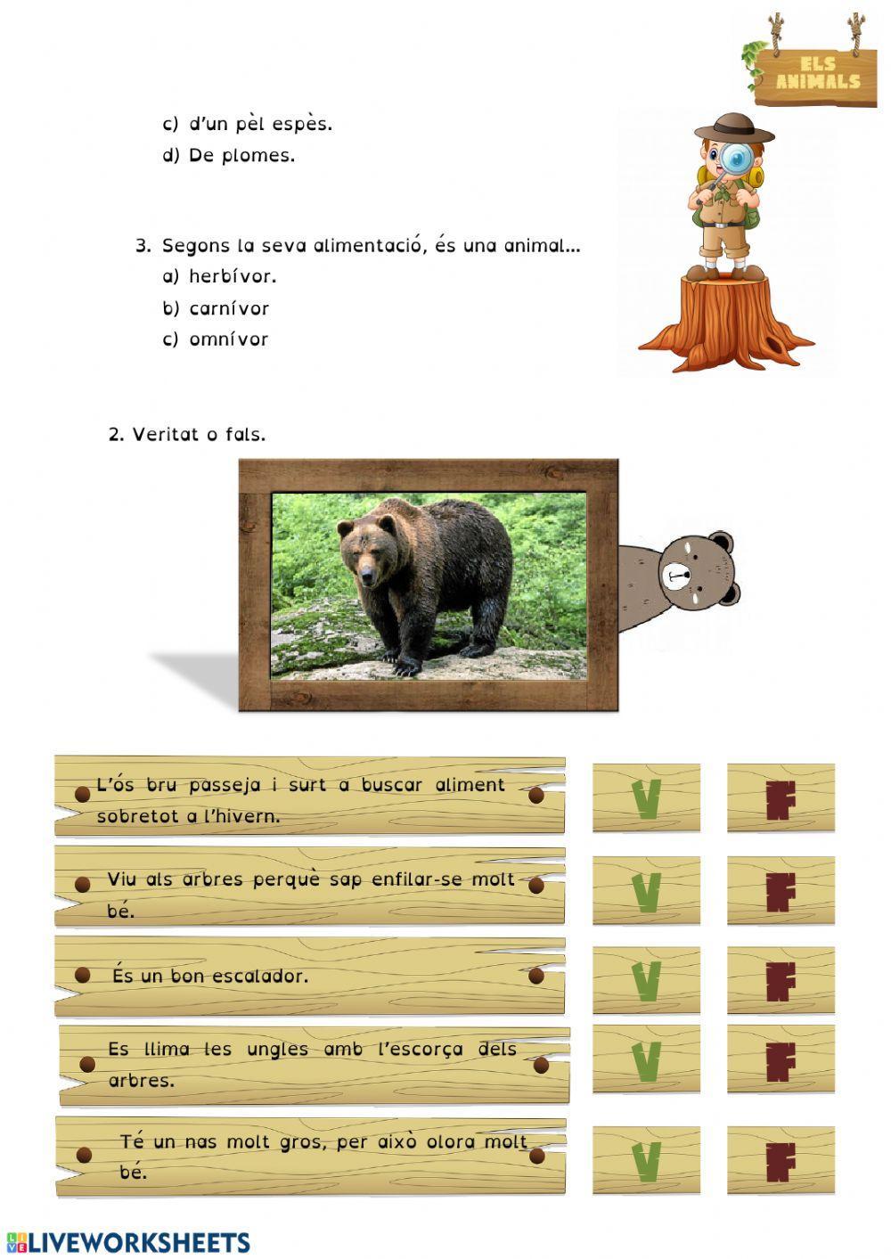 L'òs bru L'òs bru