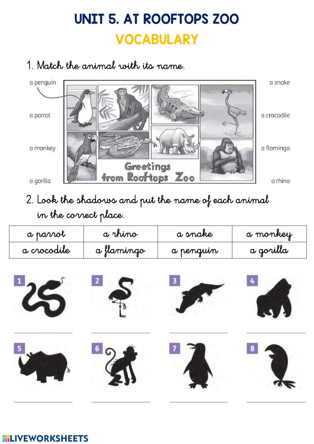 Animals vocabulary