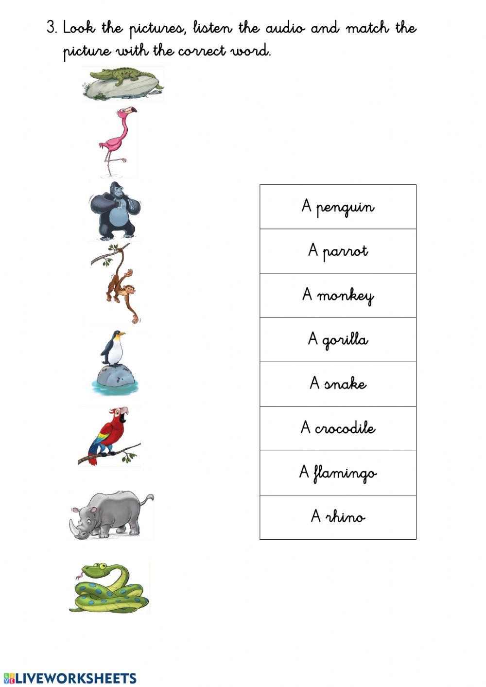 Animals vocabulary