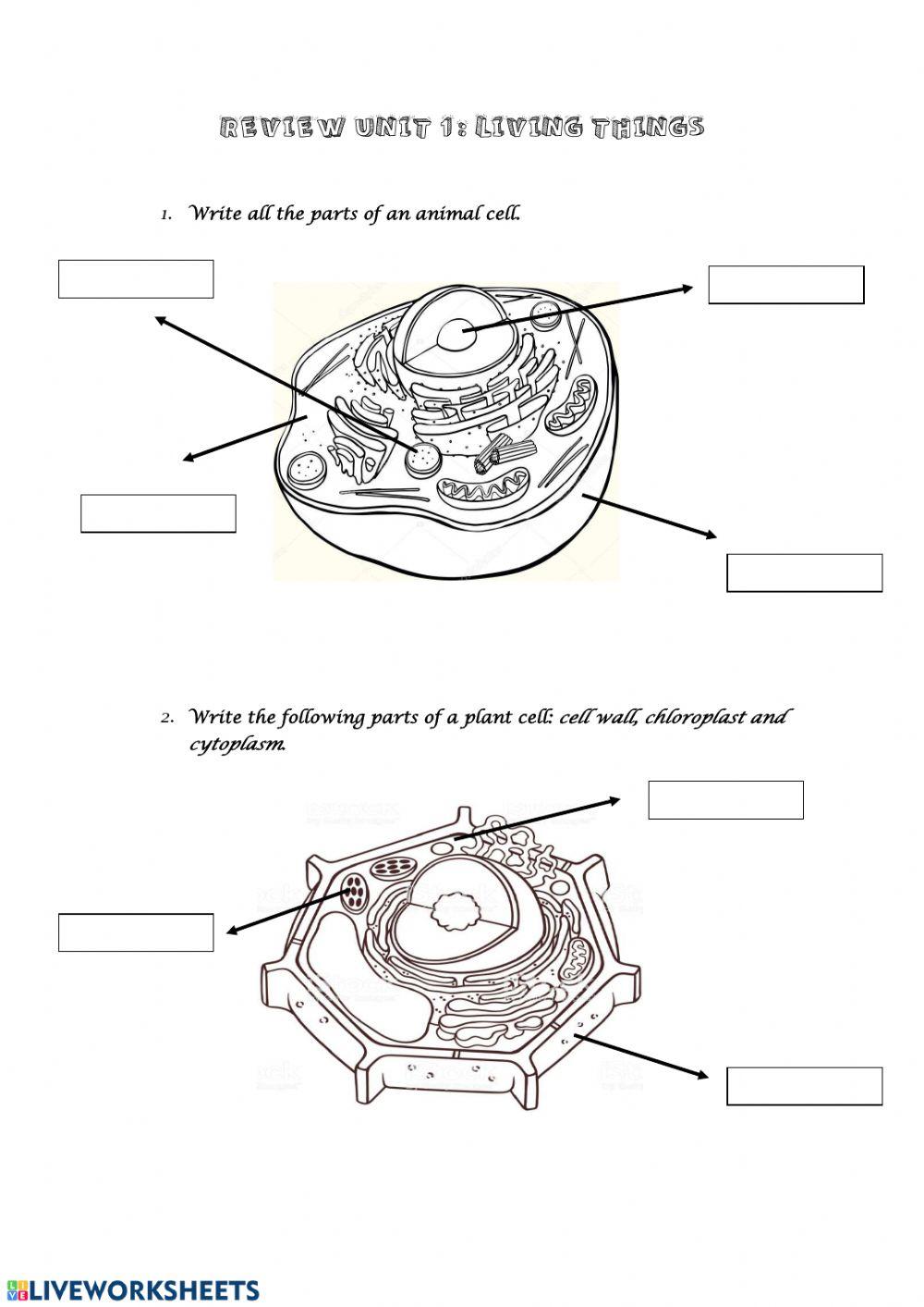 Living things review