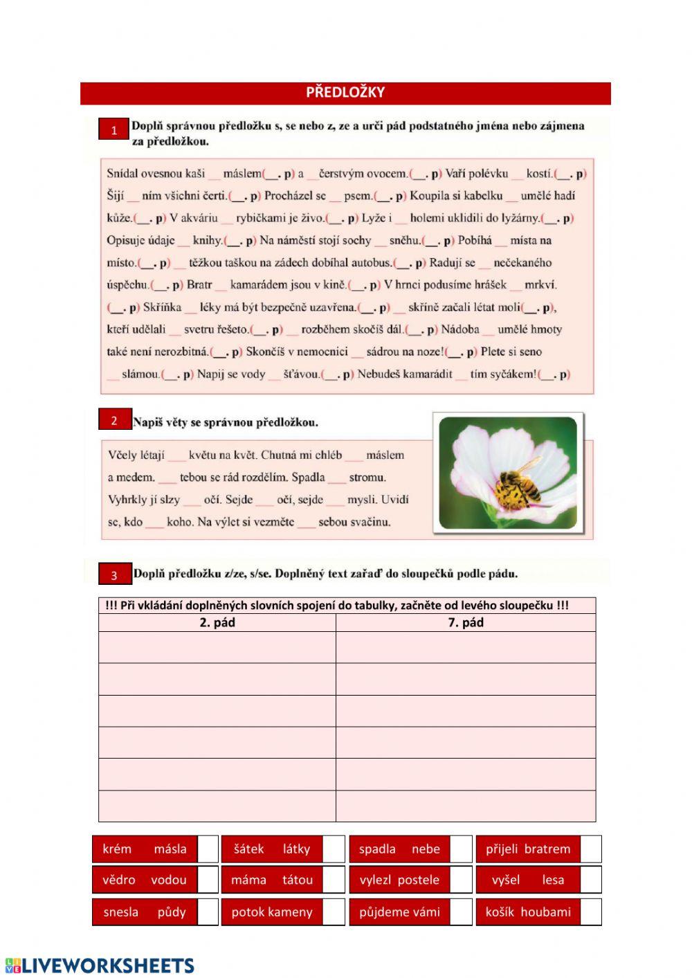 Předložky worksheet | Live Worksheets
