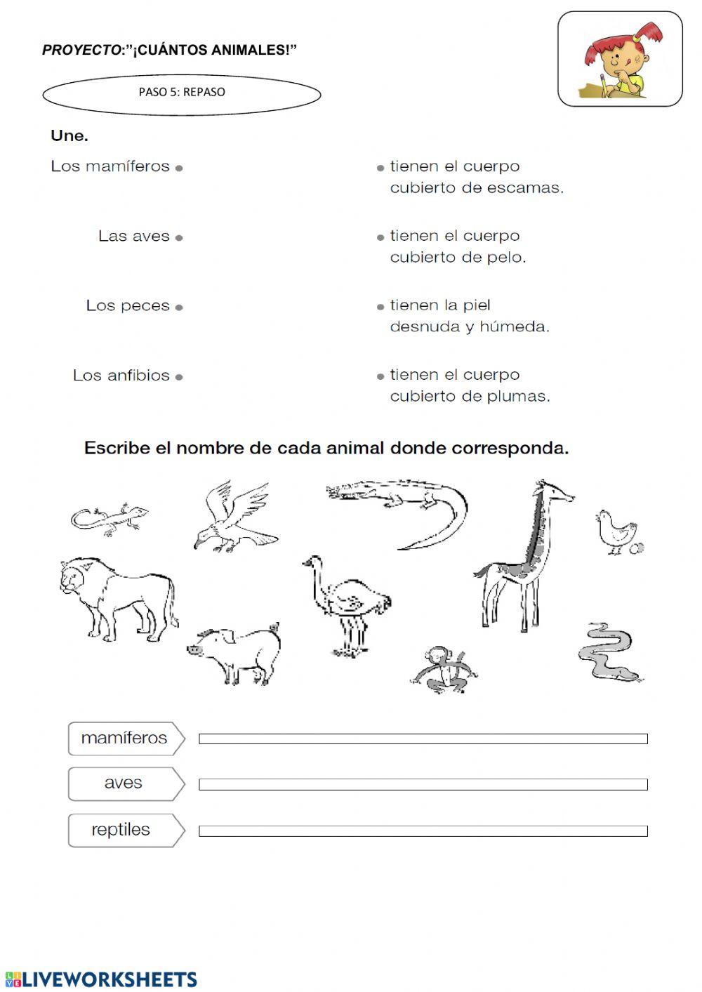 Repaso los animales