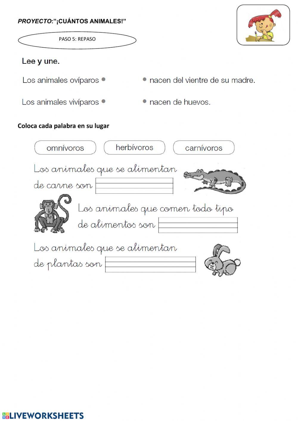 Repaso los animales