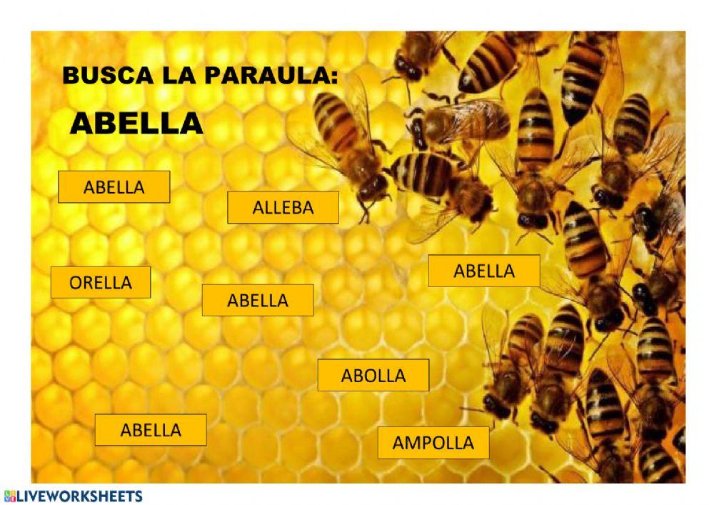 Busca la paraula ABELLA