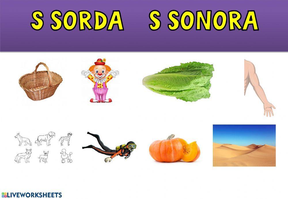 S sorda s sonora