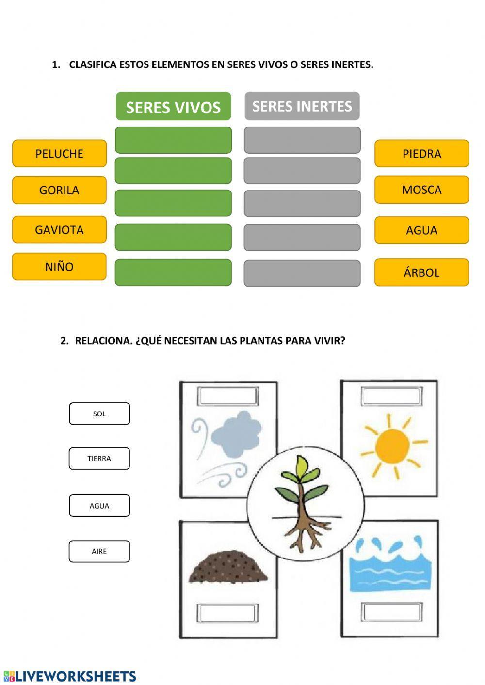 ¿Qué necesitan las plantas para vivir?