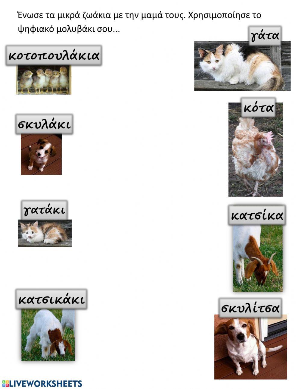 Τα ζωάκια και τα μικρά τους