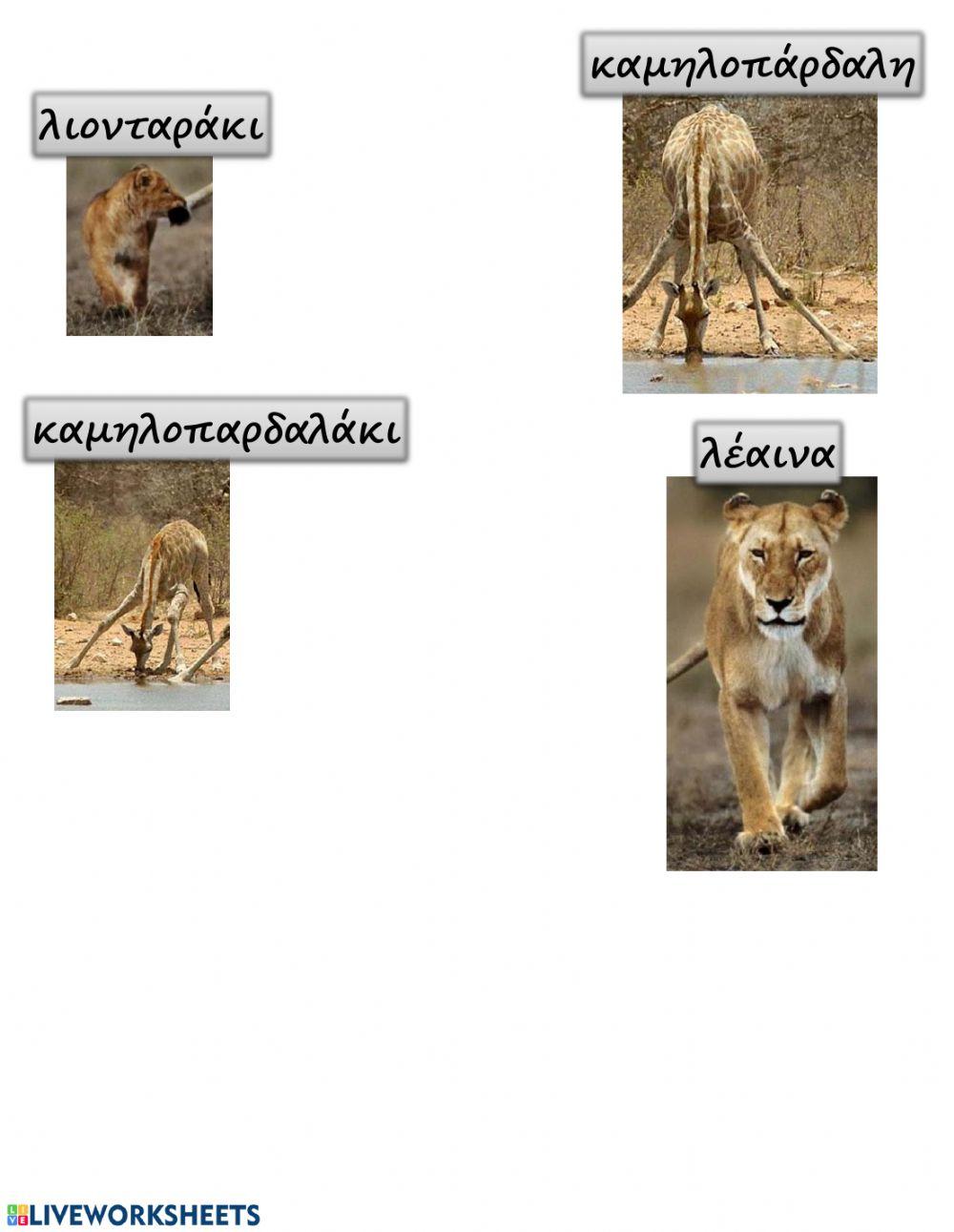 Τα ζωάκια και τα μικρά τους