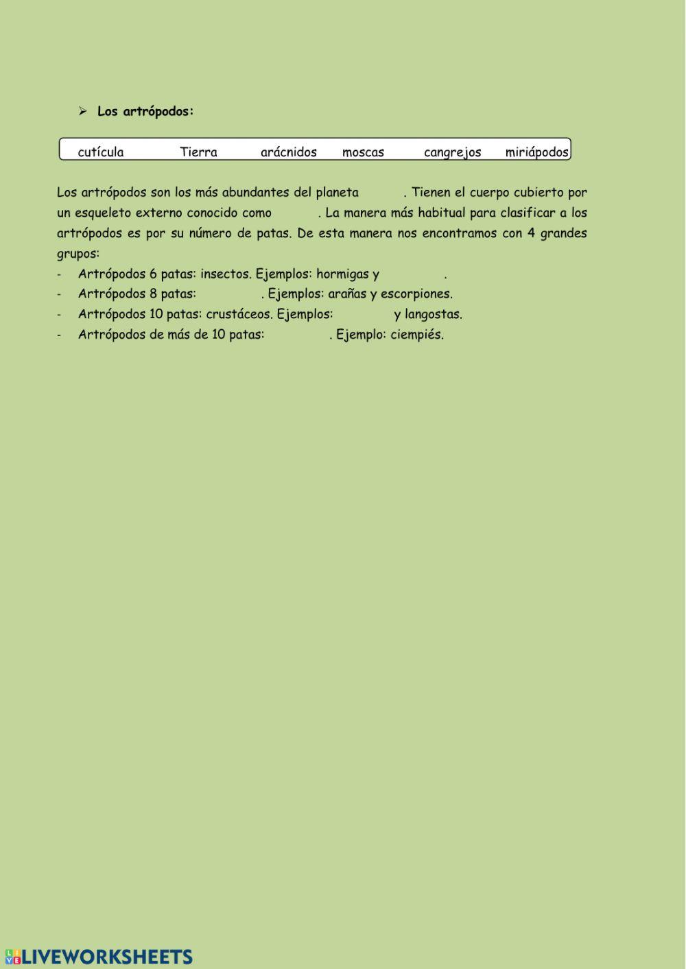 Animales invertebrados