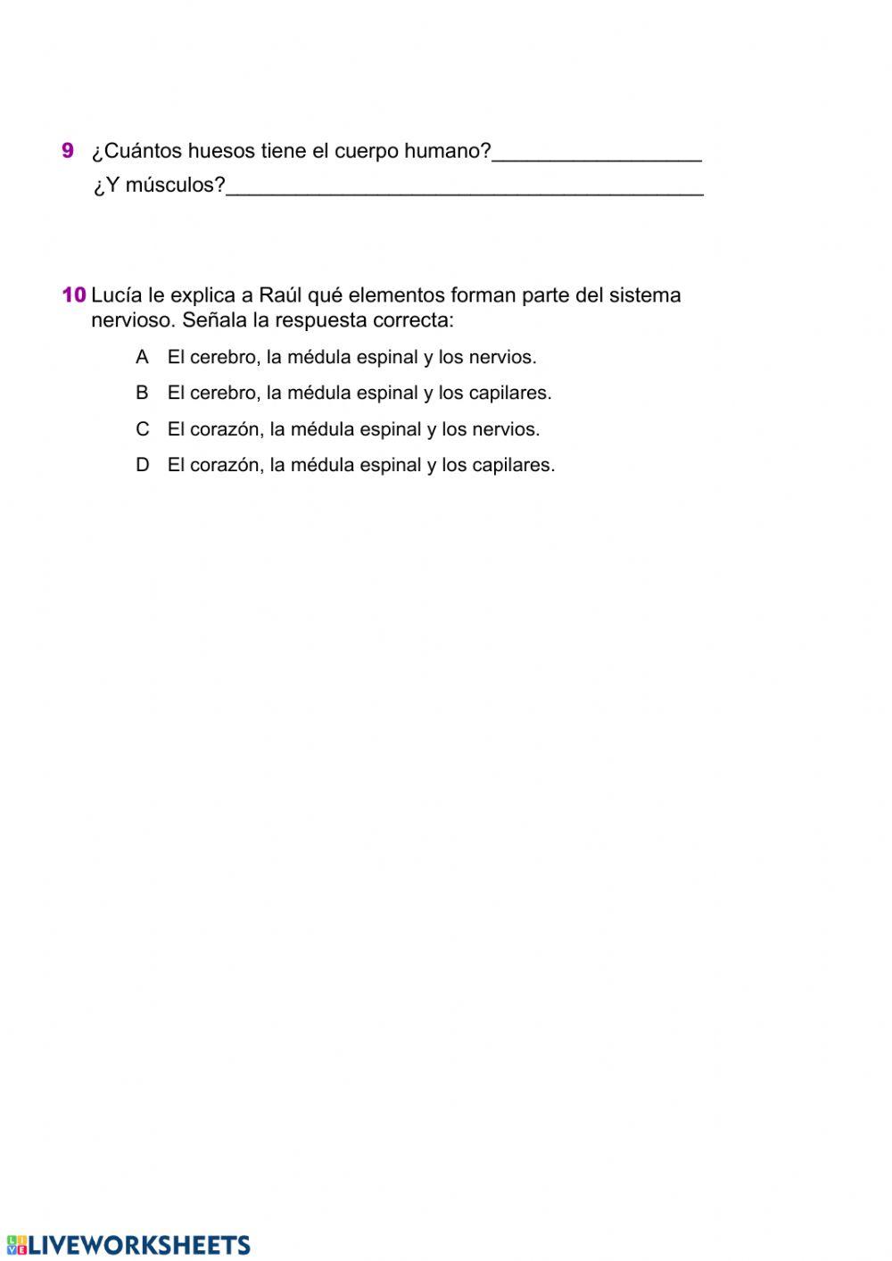 Repaso y evaluación sentidos, huesos y músculos
