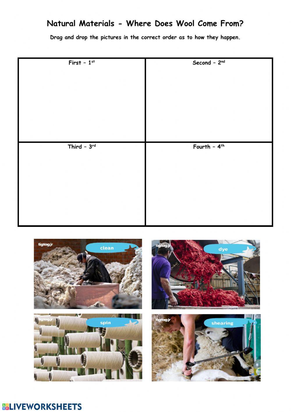 Where Does Wool Come From 149967 Eileen O Dwyer where-does-wool-come-from-149967-eileen-o-dwyer