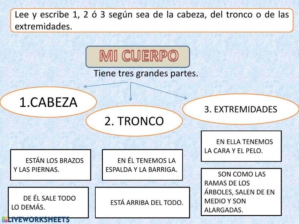 Partes del cuerpo.