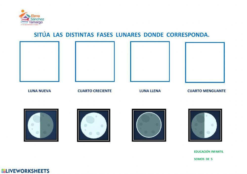 Fases lunares