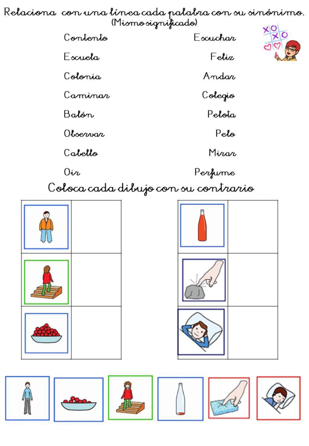 Sinónimos y contrarios