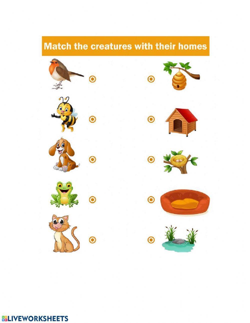 Animals & their home Animals & their home