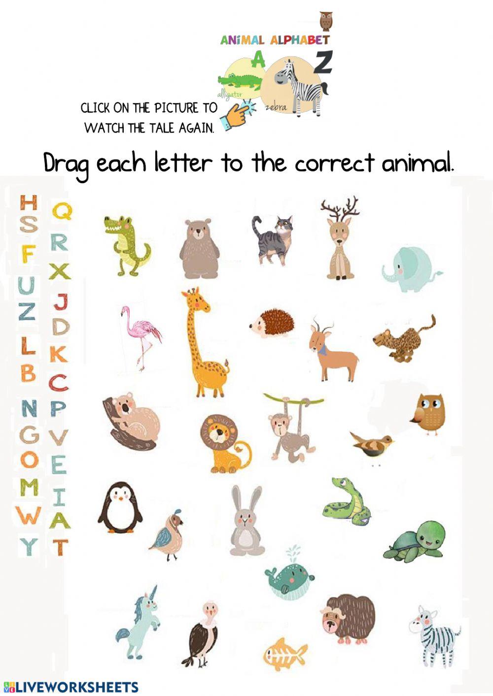Animalphabet Animalphabet