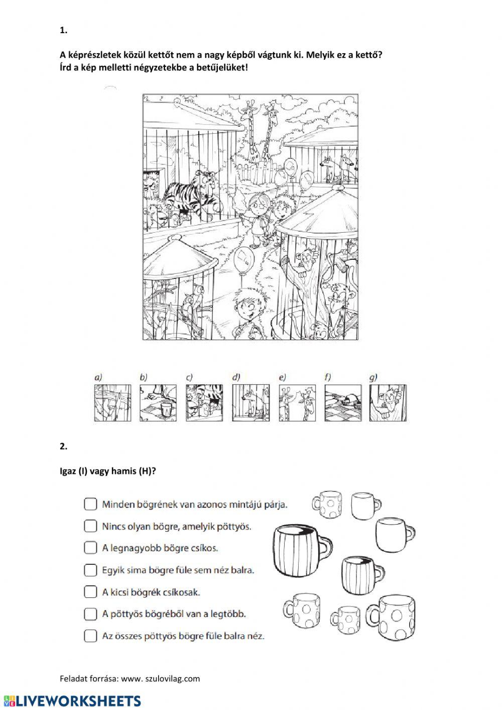 Készségfejlesztés