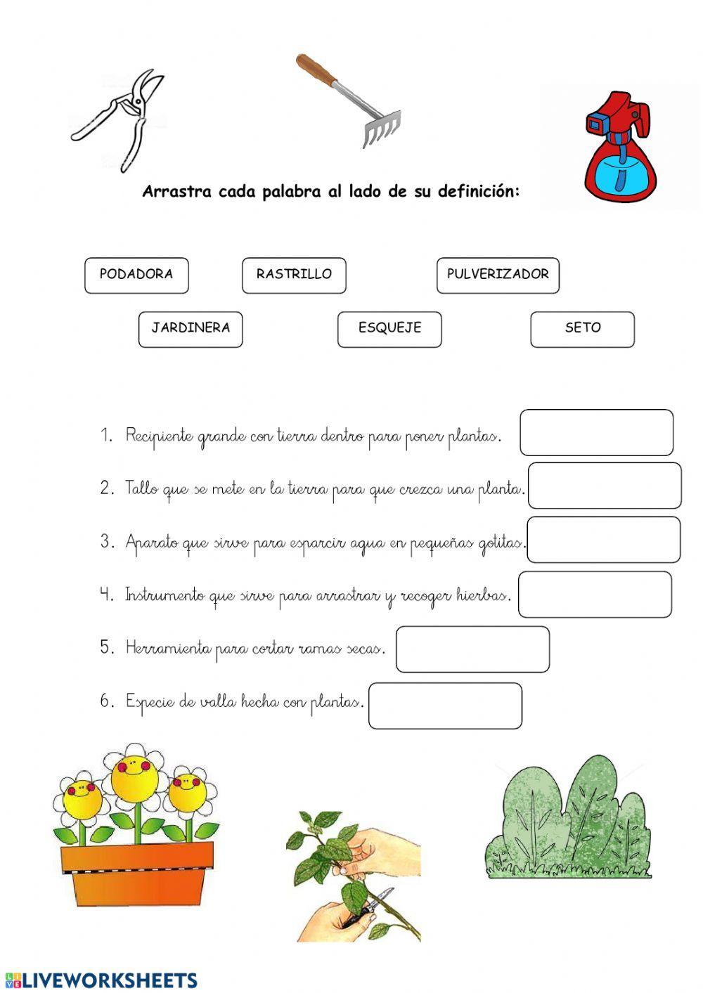 Definiciones jardinería