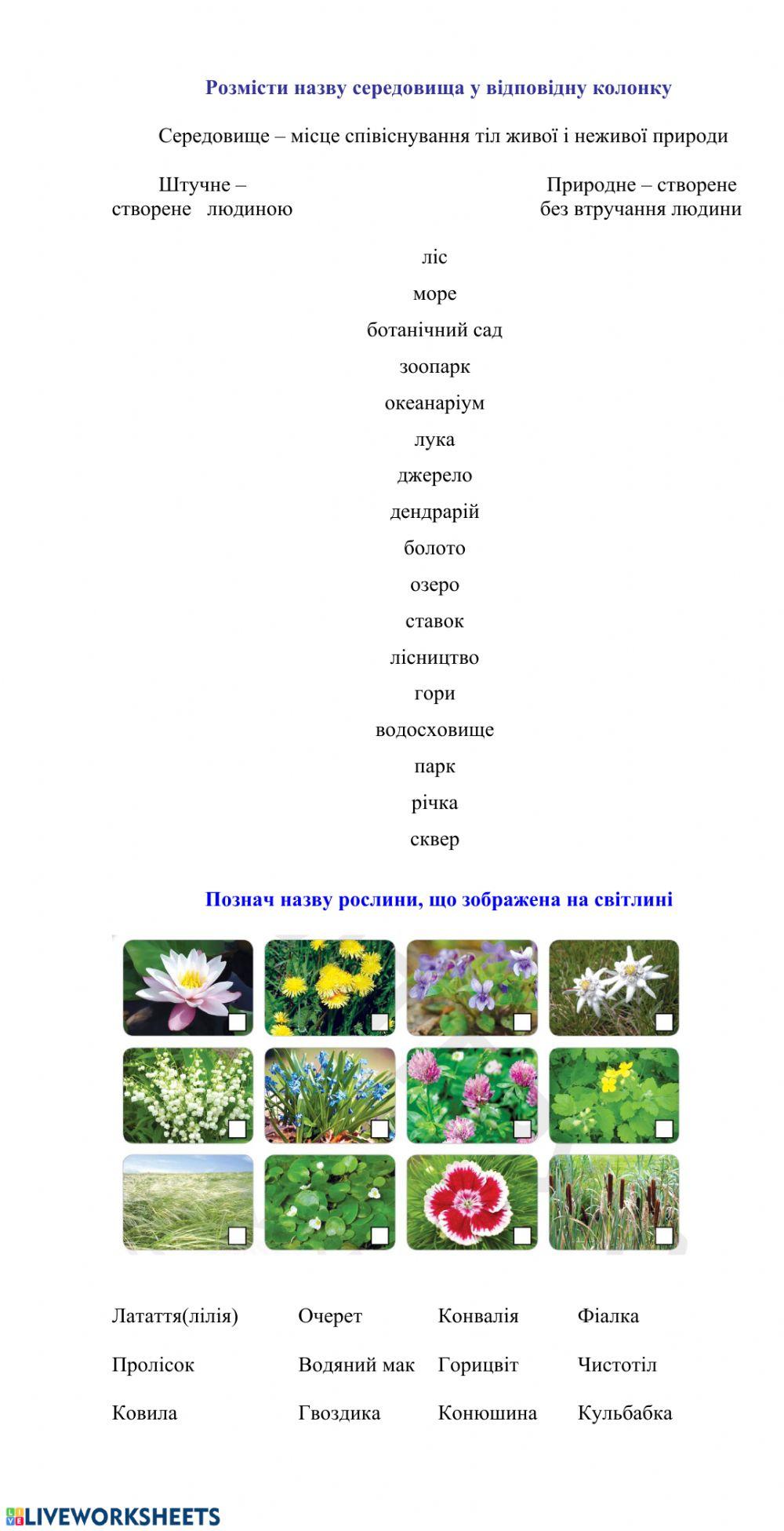 Середовища існування