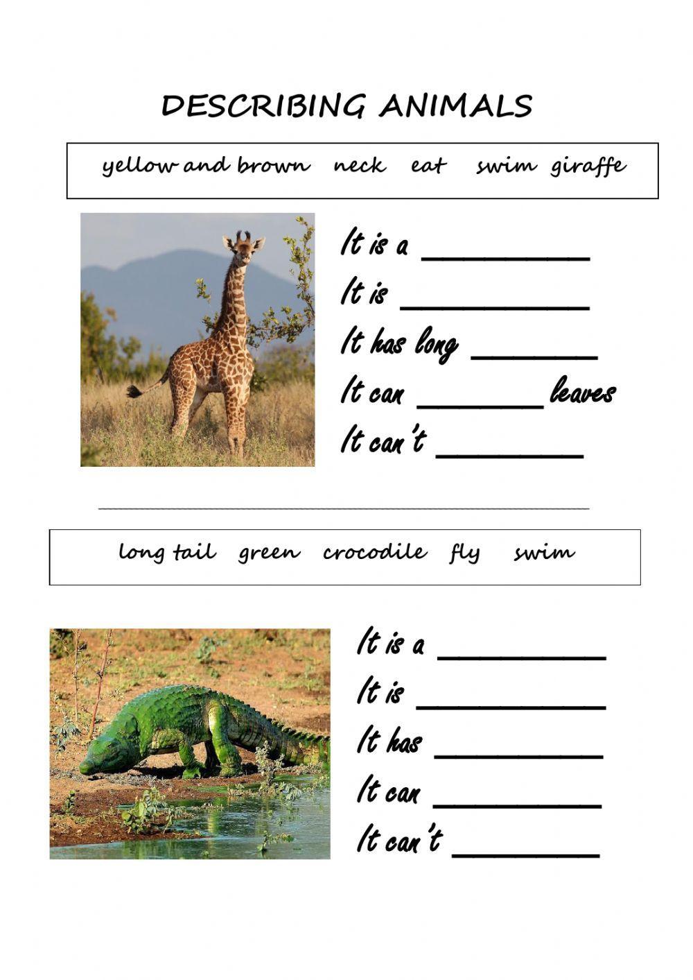 English Nature Vocabulary (Lesson 3): Describe Wild Animals - Learn English  With Africa