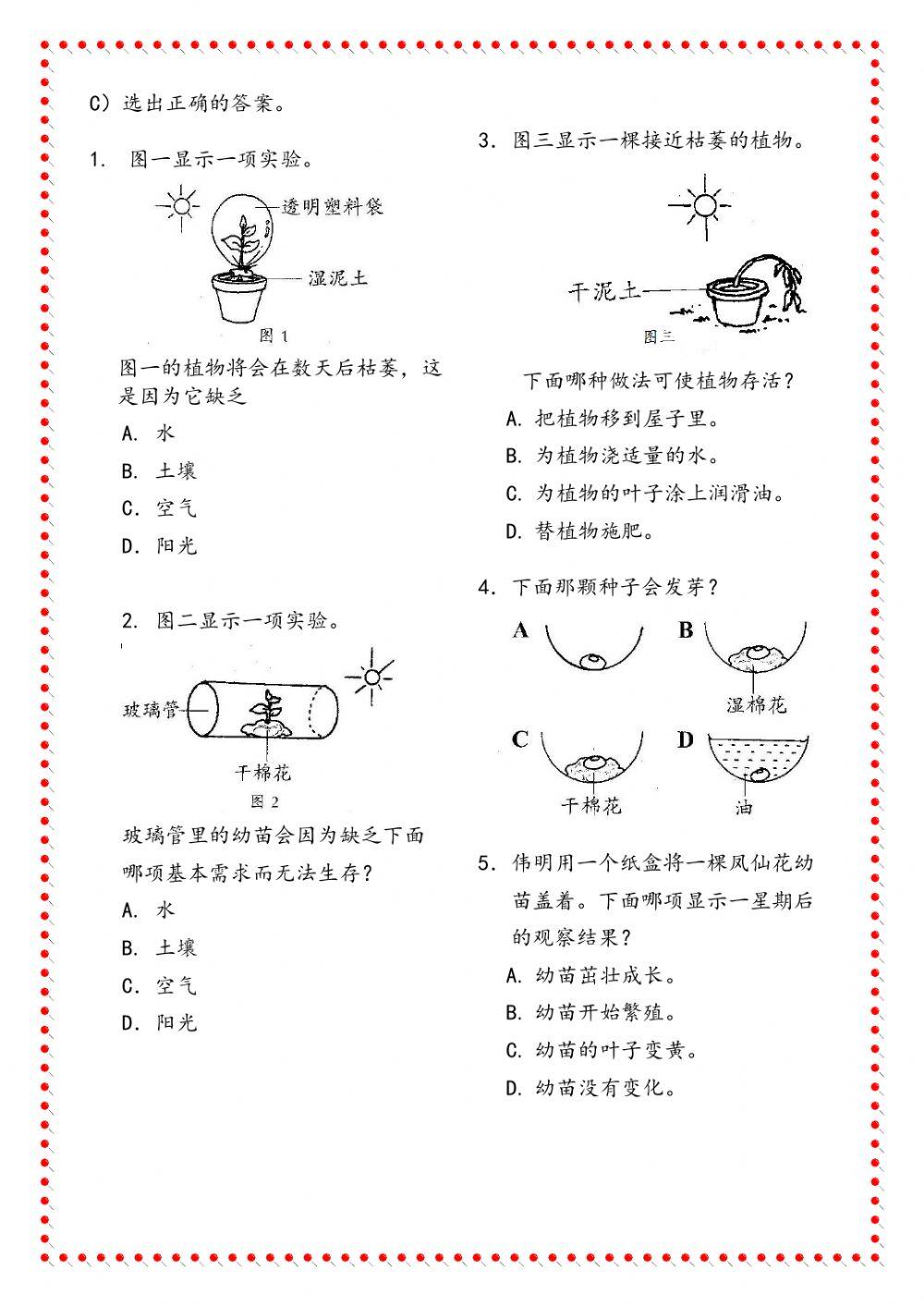二年级科学第五课  植物