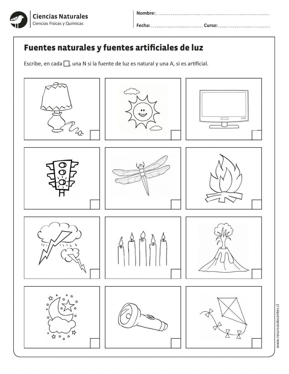 Prueba de fuentes de luz natural y artificial 2024 vrogue 