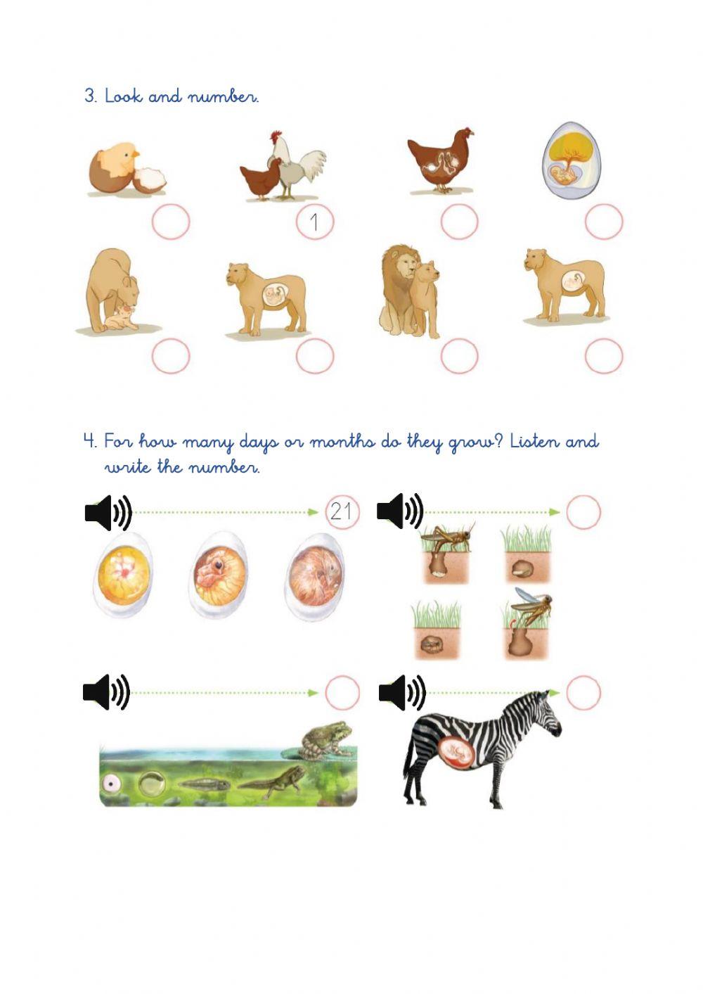 Natural Science 4 -5 inglés