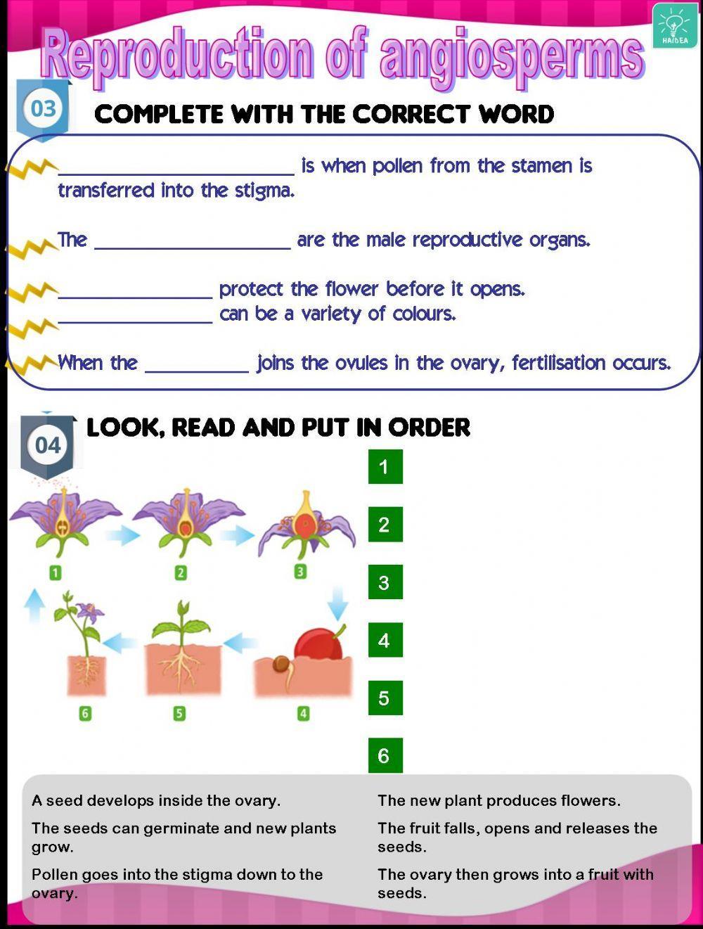 240989 Reproduction of plants 2 HR LiveWorksheets