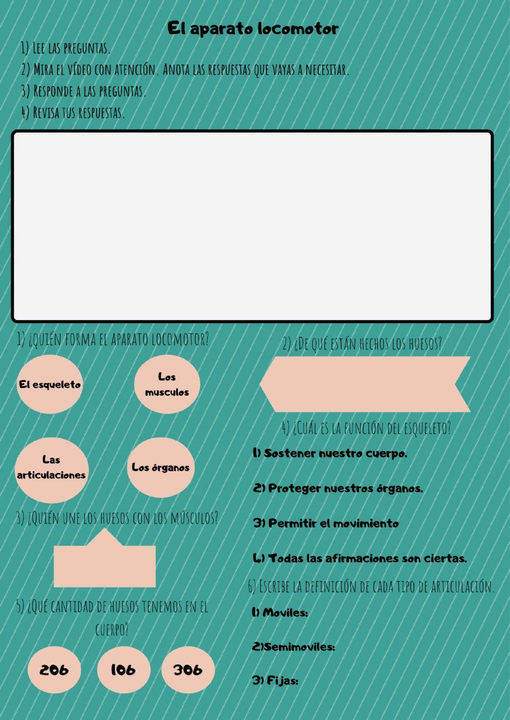 El aparato locomotor