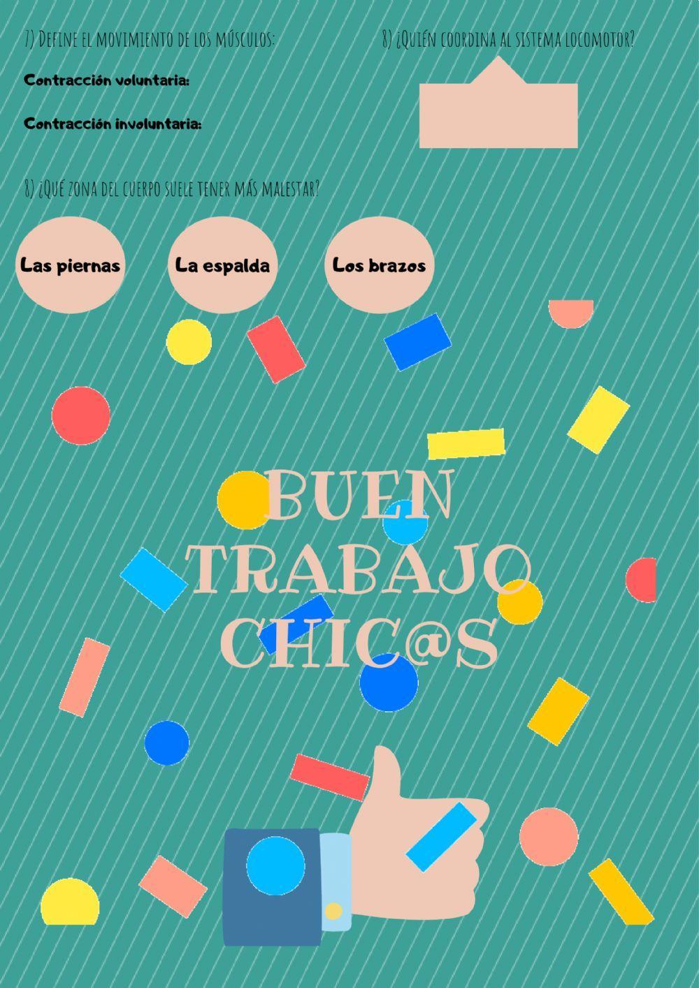 El aparato locomotor