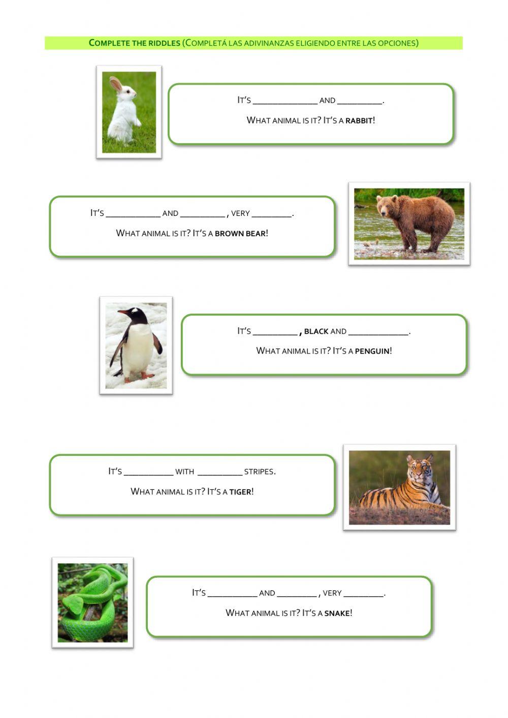 241765 | Animal Riddles | Vanereyes | LiveWorksheets