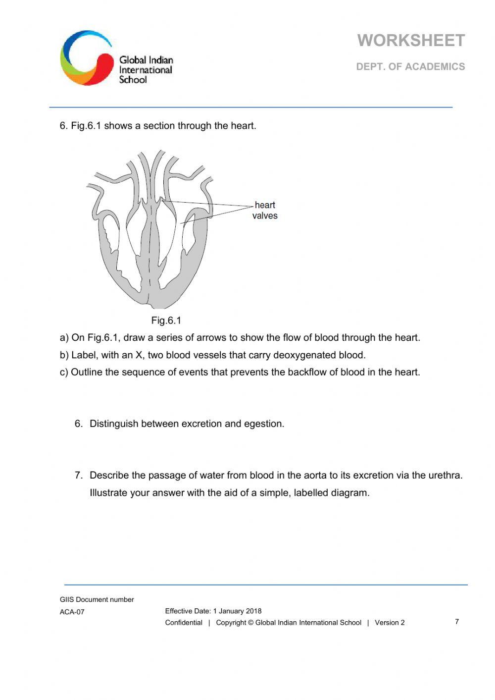 Life processes Worksheet 3 online exercise for Live Worksheets