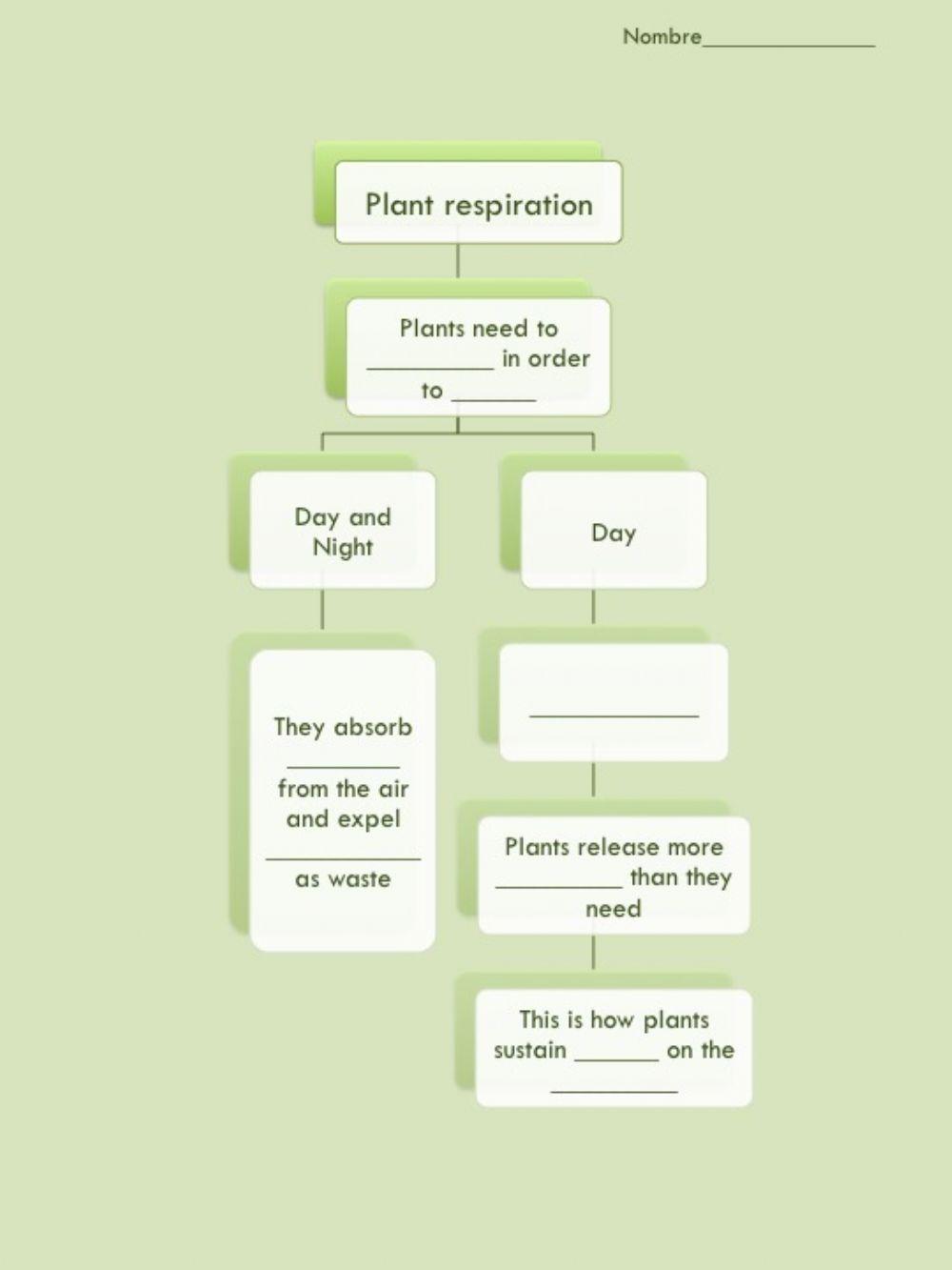 Unit 4 Plant Respiration Complete