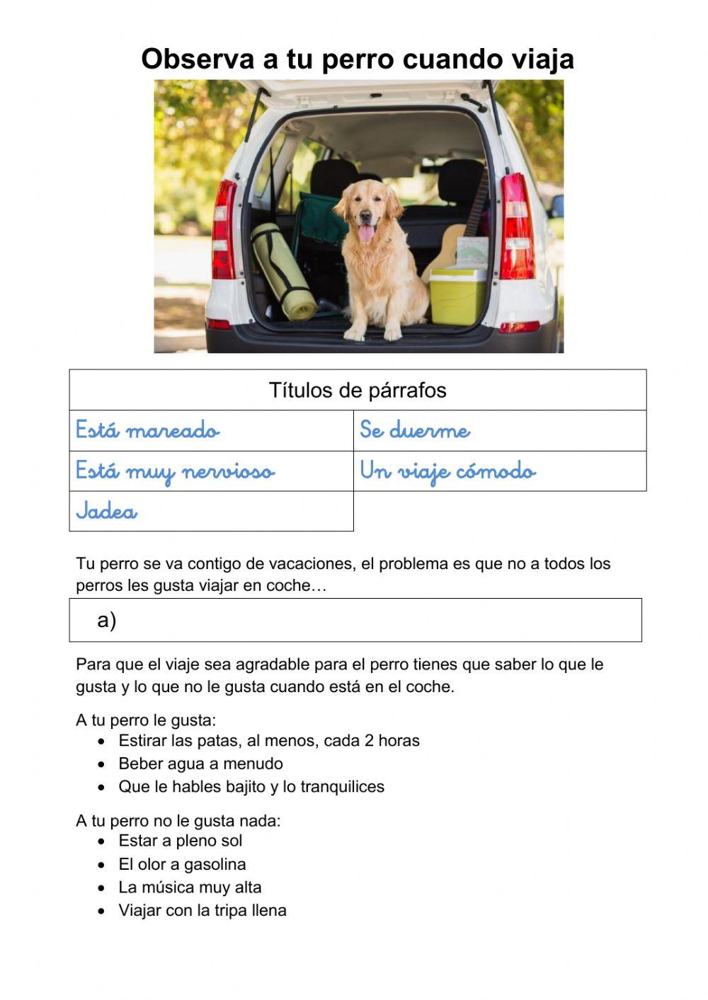 Tu perro cuando viaja... Tu perro cuando viaja...