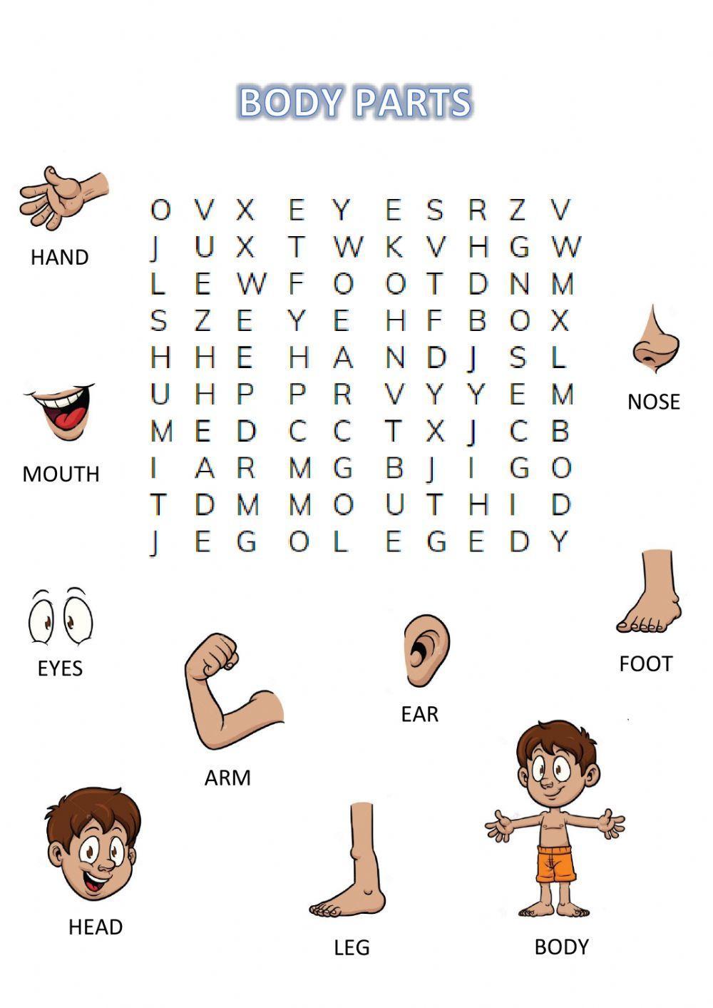 Body Parts Wordsearch