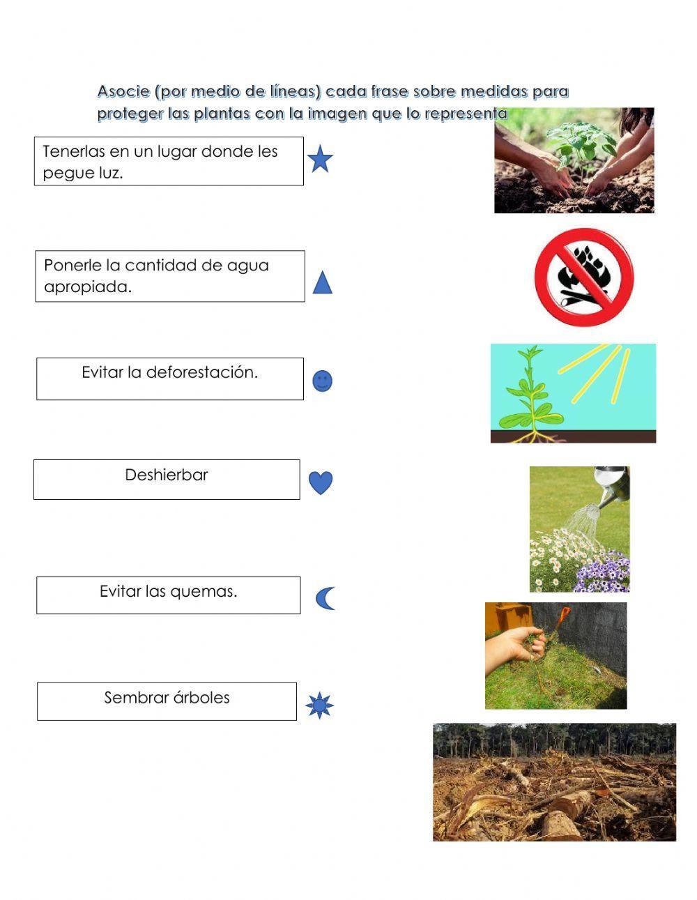 Medidas para proteger las plantas