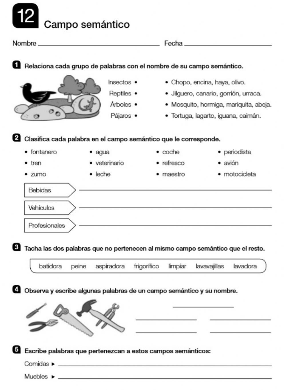 LOS CAMPOS SEMÁNTICOS