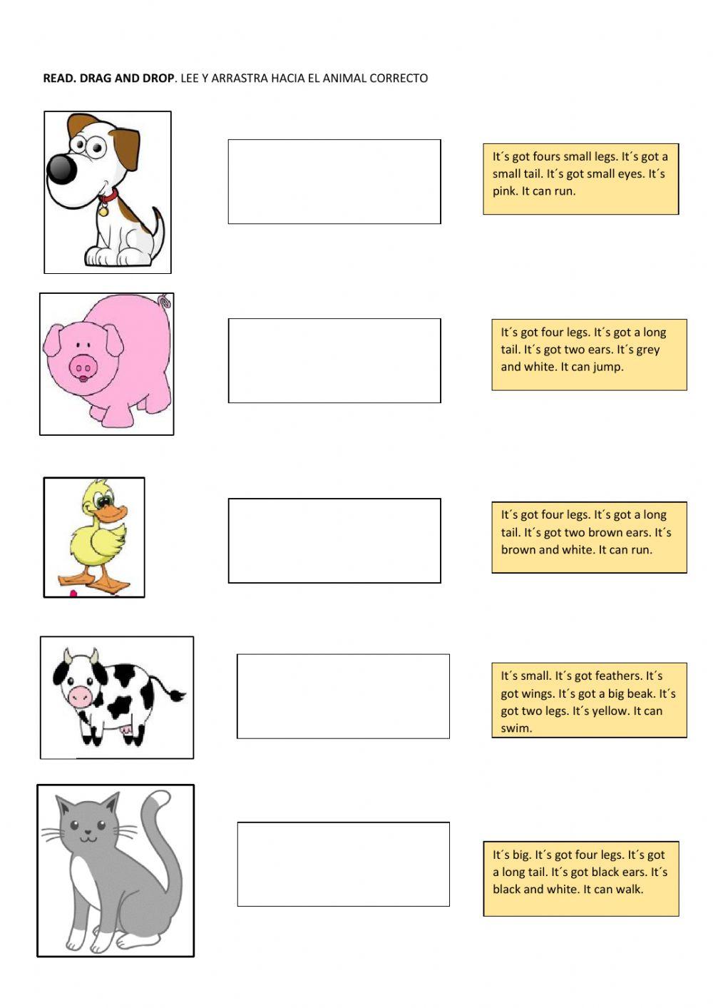Farm animals 2º