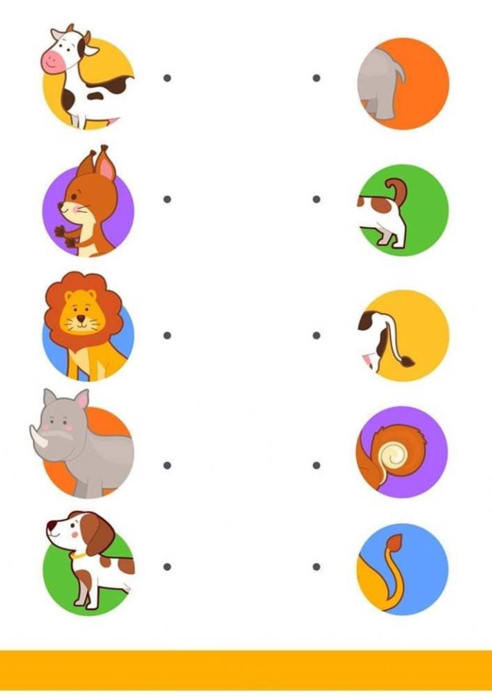 Collega l'animale alla sua coda