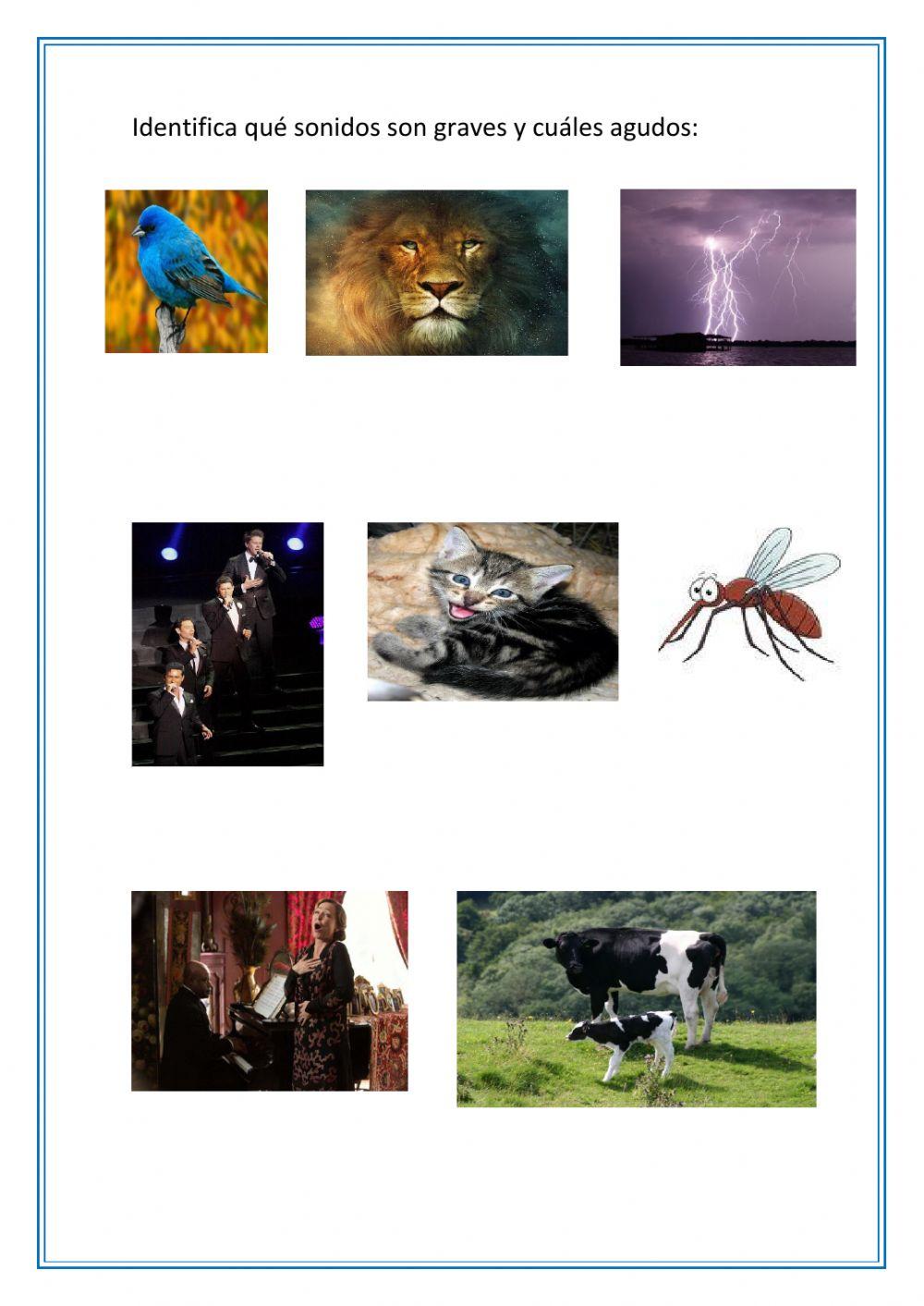 Sonidos graves y agudos