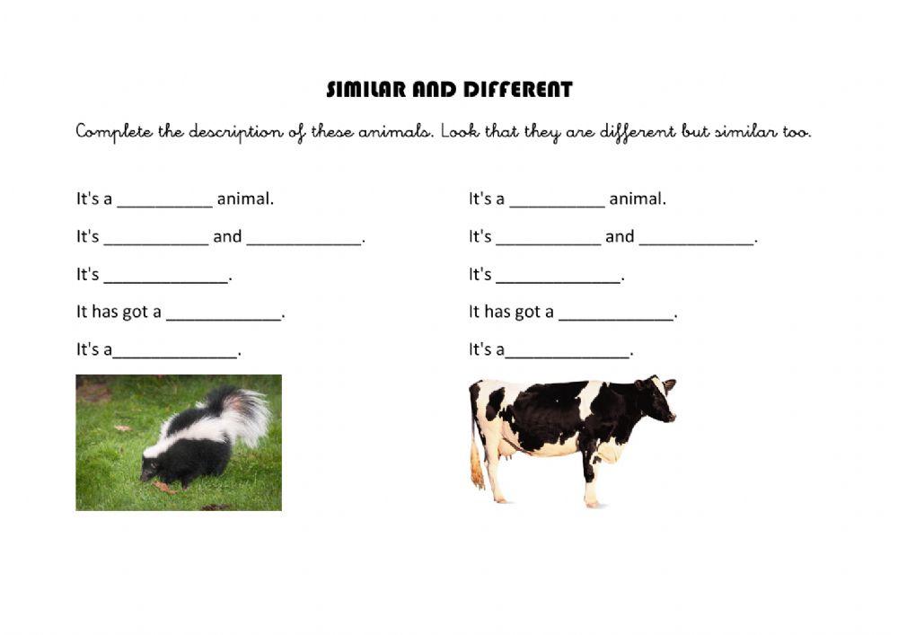 Similar and different