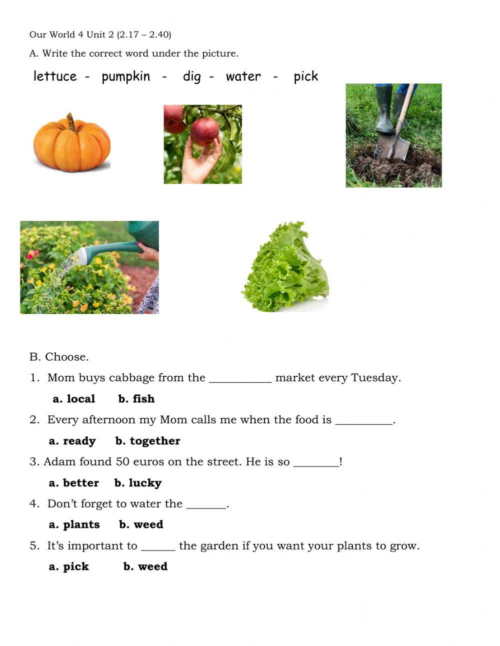 Our World 4 Unit 2 (2.17 – 2.40)