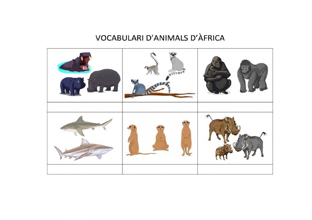 Voc animals