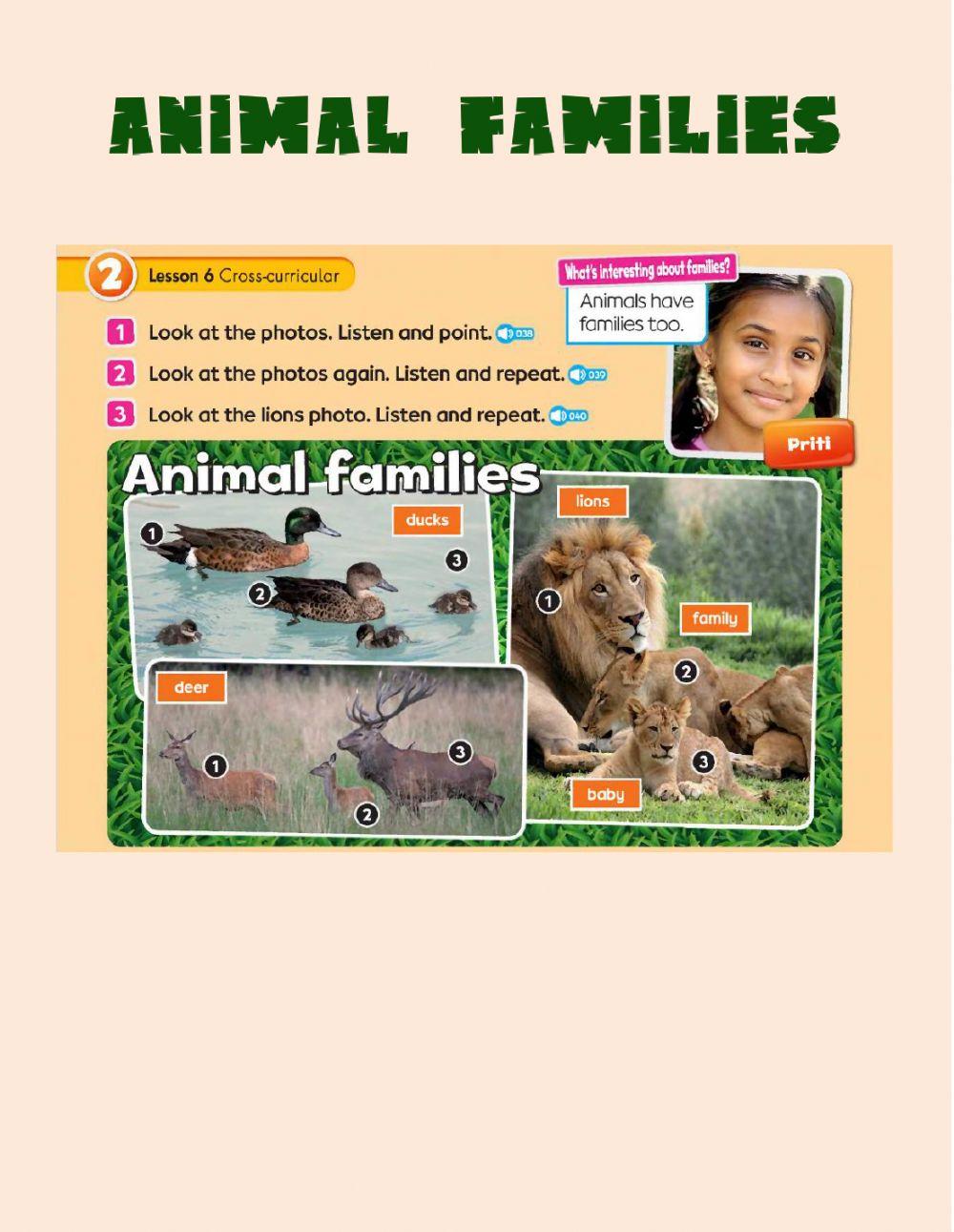 Animal families