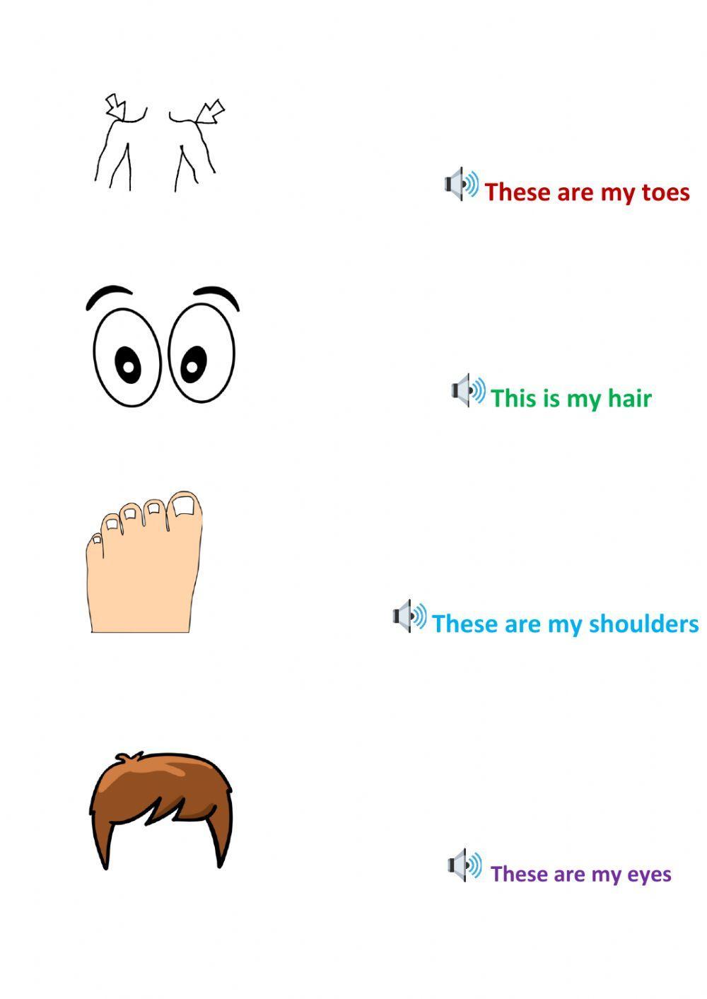 Body Parts