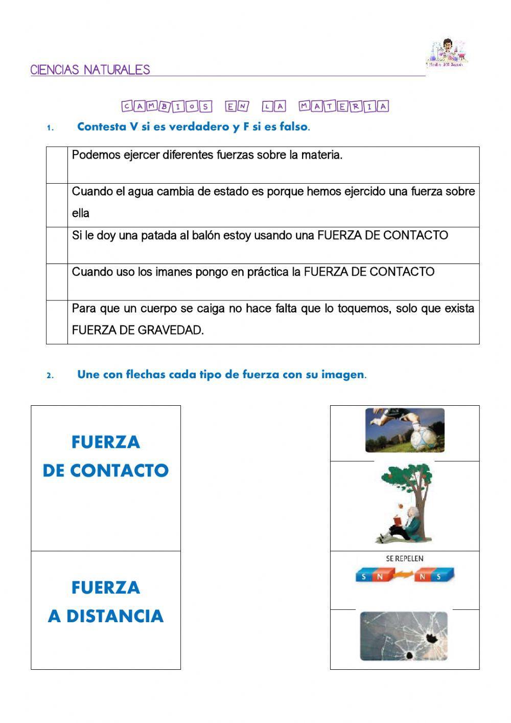 La materia y las fuerzas