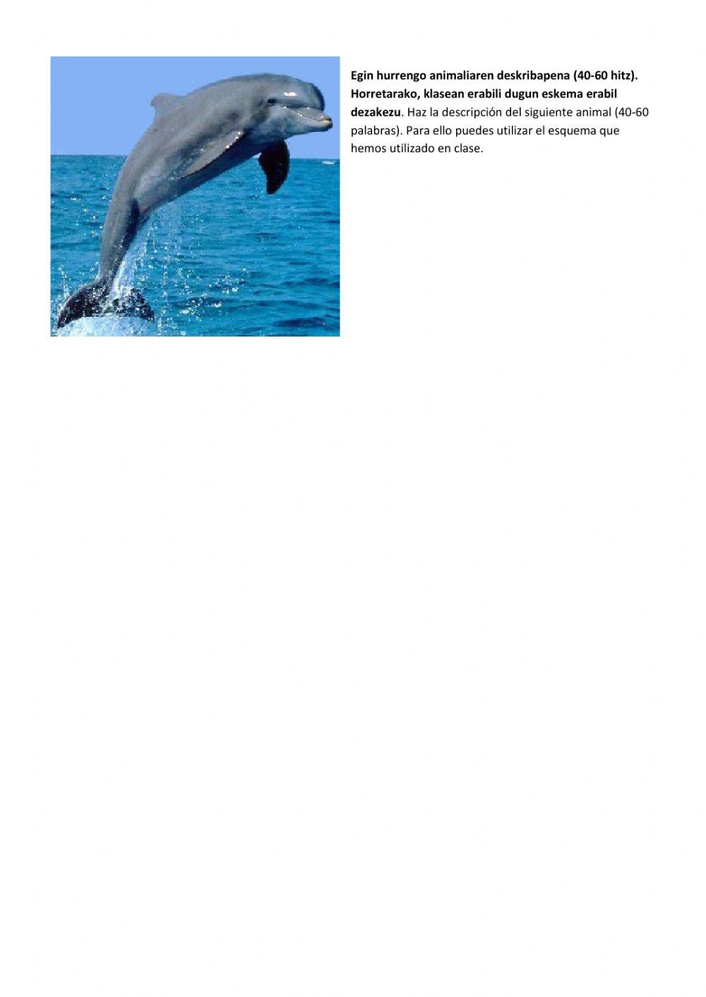 2.MAILA-3.ebaluazioa-A-aukera