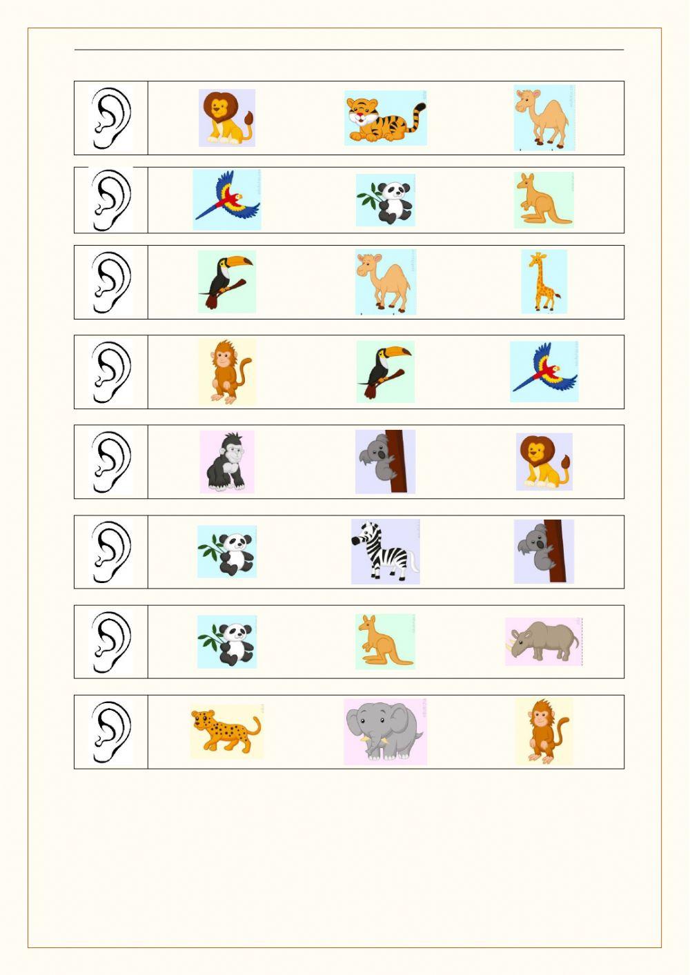 Wild animas part 2 (2º)