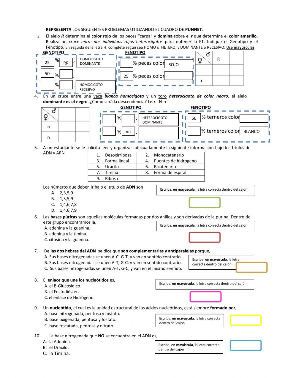 EVALUACIÓN DE BIOLOGÍA - GRADO OCTAVO