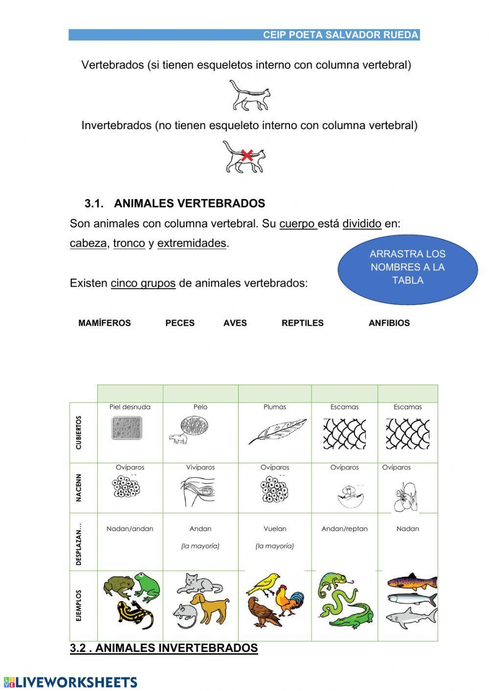 Resumen animales tercero